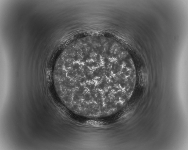 X0000085070699200703191302