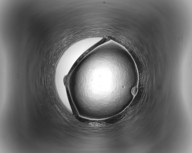 X0000085070703200703191302