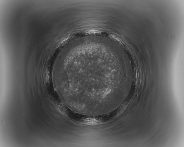 X0000085070704200703191302