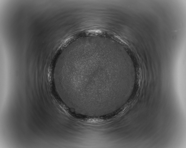 X0000085070708200703191302