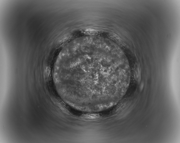 X0000085070711200703191301