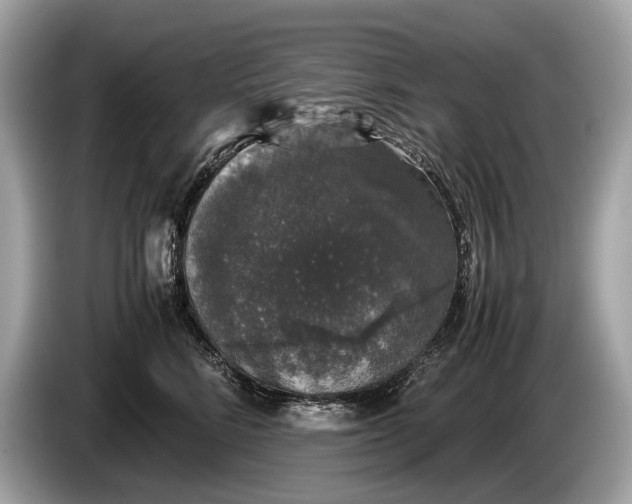 X0000085070712200703191301