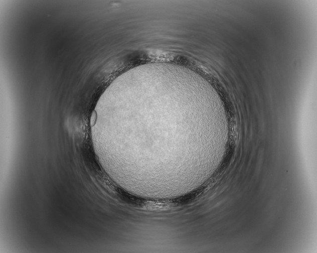 X0000085070713200703191301