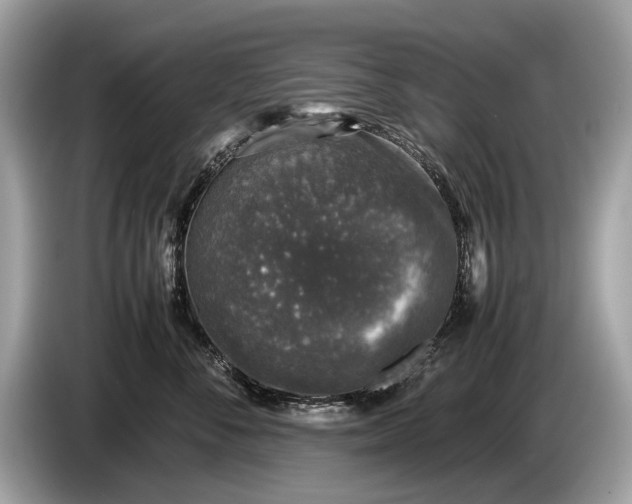 X0000085070716200703191301