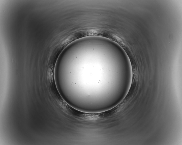 X0000085070719200703191301