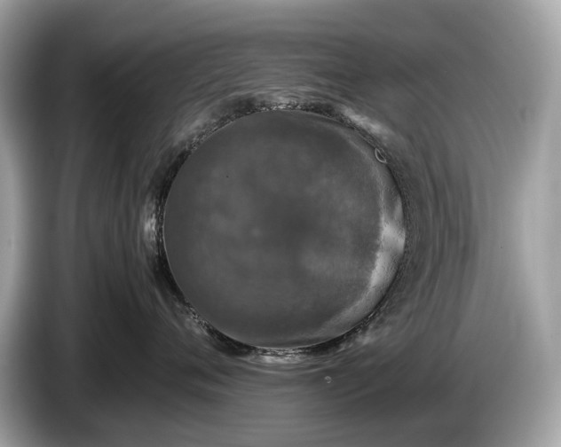 X0000085070720200703191301