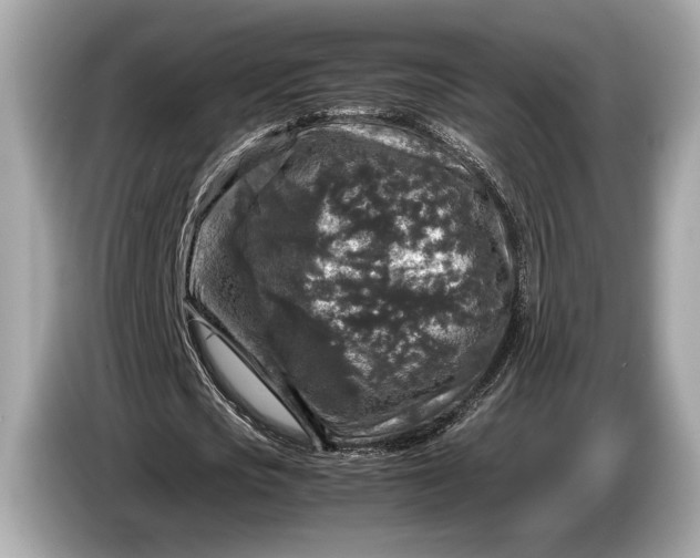 X0000085070721200703191301