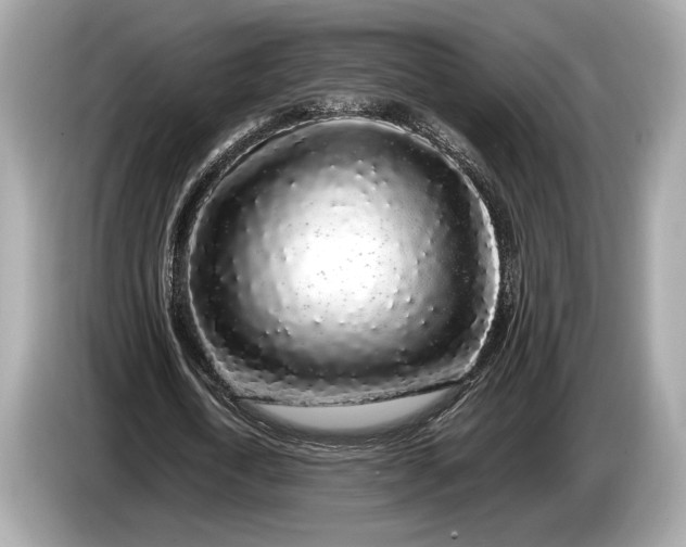 X0000085070722200703191301