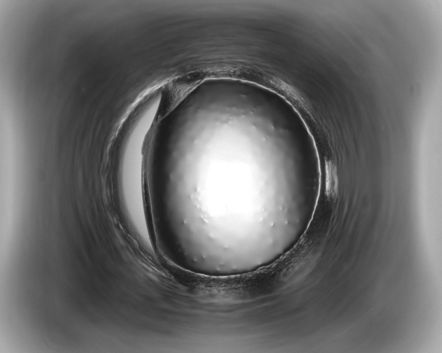 X0000085070723200703191301