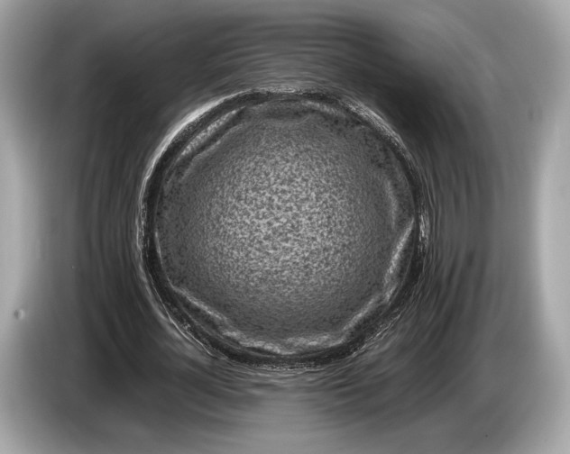 X0000085070724200703191301