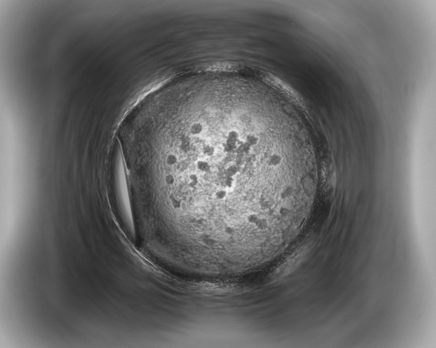 X0000085070725200703191301