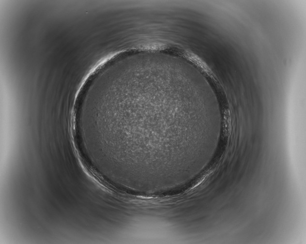 X0000085070726200703191301