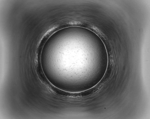 X0000085070727200703191301