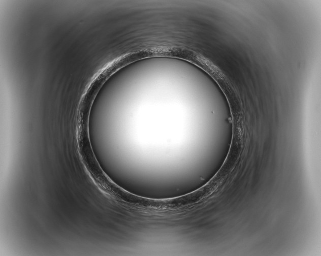 X0000085070728200703191301