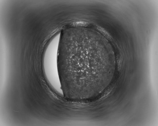 X0000085070729200703191301