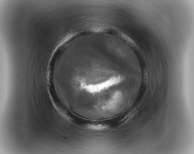 X0000085070730200703191301