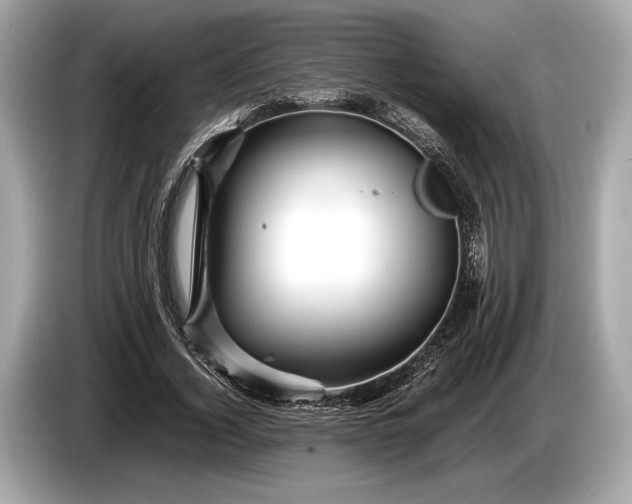 X0000085070732200703191301