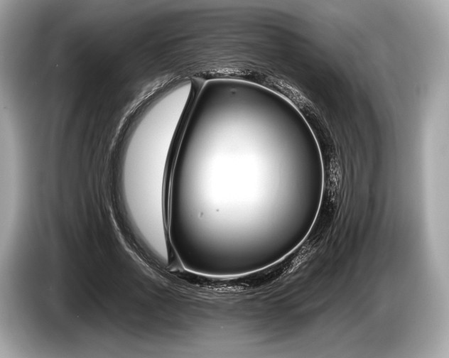 X0000085070734200703191301