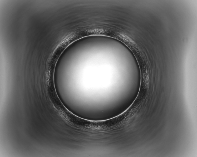 X0000085070735200703191301