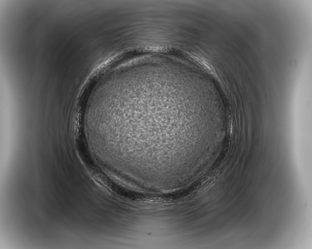 X0000085070736200703191301