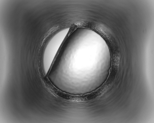 X0000085070738200703191301