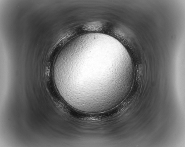 X0000085070739200703191301