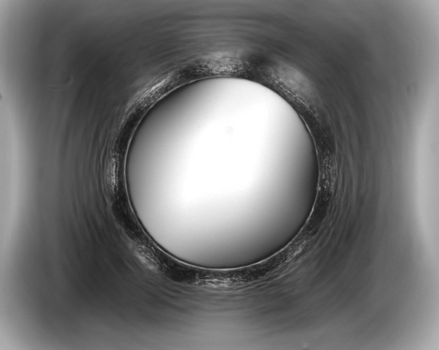 X0000085070740200703191301