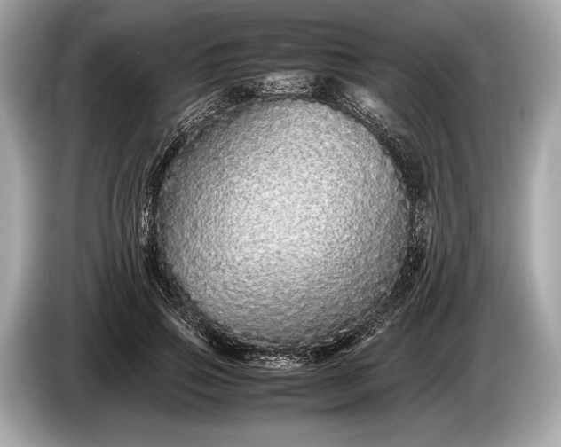 X0000085070741200703191301