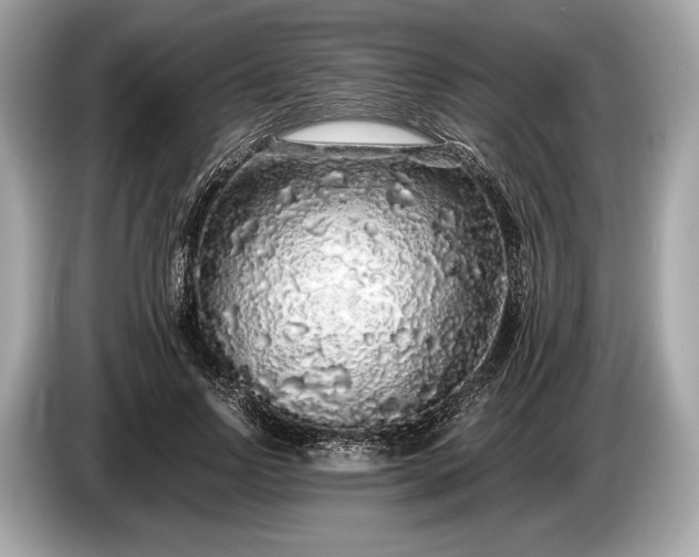 X0000085070742200703191301