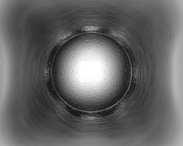 X0000085070743200703191301