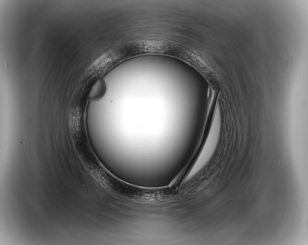 X0000085070744200703191301