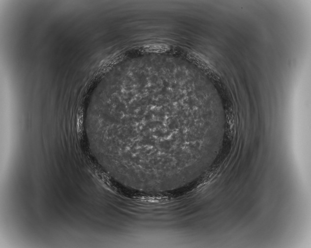 X0000085070745200703191301