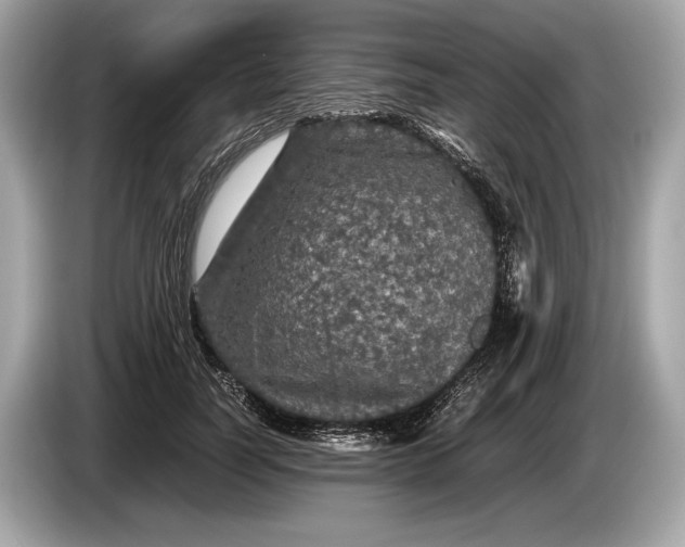 X0000085070746200703191301