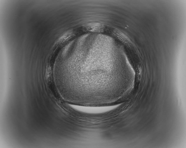 X0000085070748200703191301