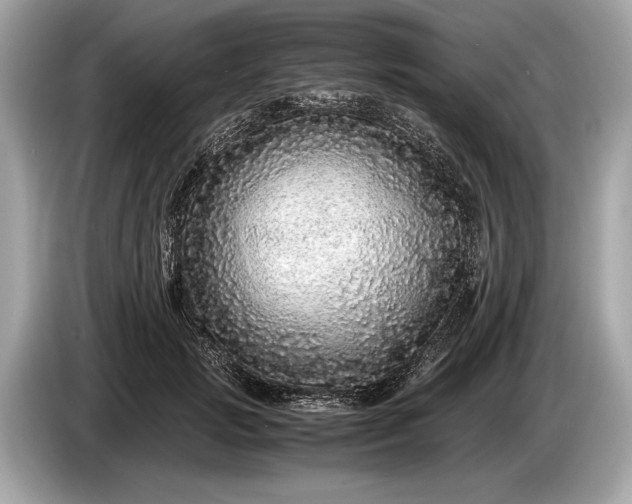 X0000085070749200703191301