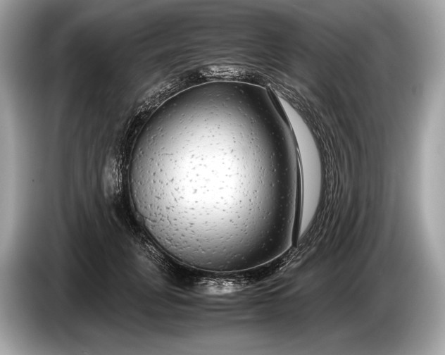 X0000085070751200703191301