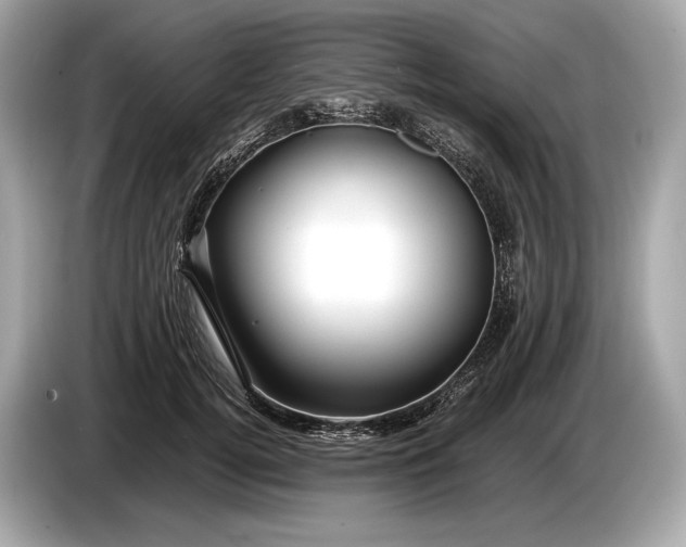 X0000085070752200703191301