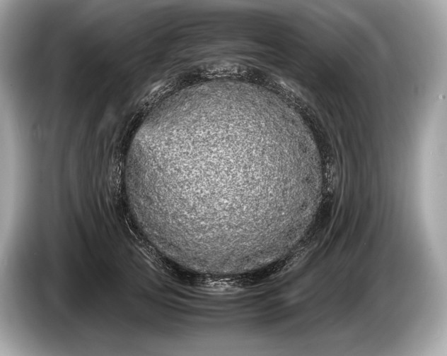 X0000085070753200703191301