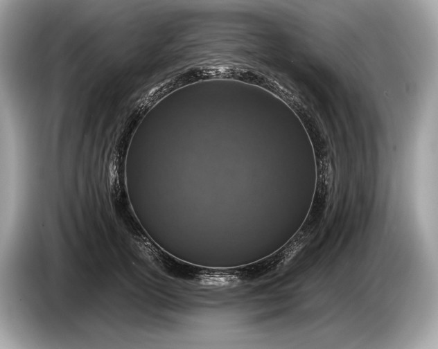 X0000085070754200703191301