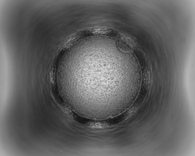 X0000085070755200703191301