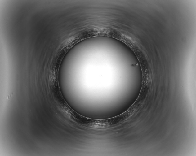 X0000085070756200703191301