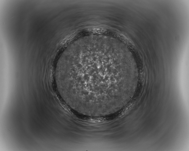 X0000085070757200703191301