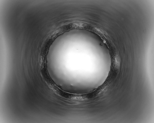 X0000085070759200703191301