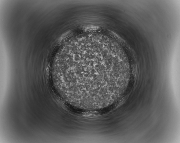 X0000085070761200703191301