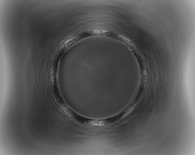 X0000085070762200703191301