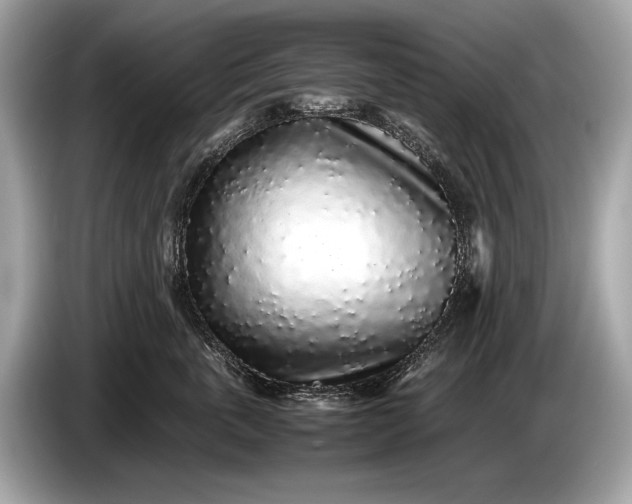 X0000085070763200703191301