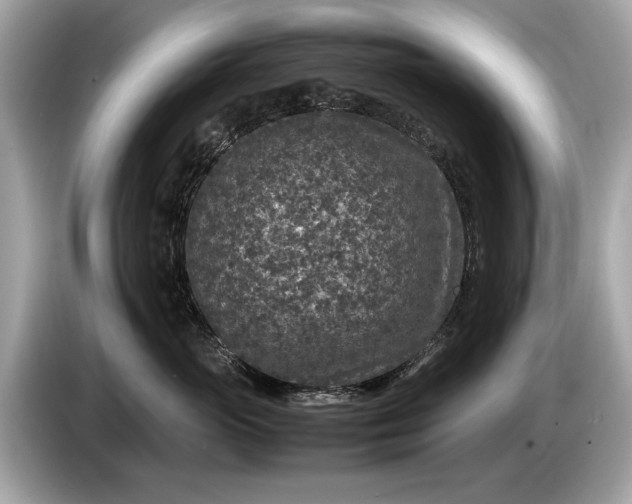 X0000085070765200703191301