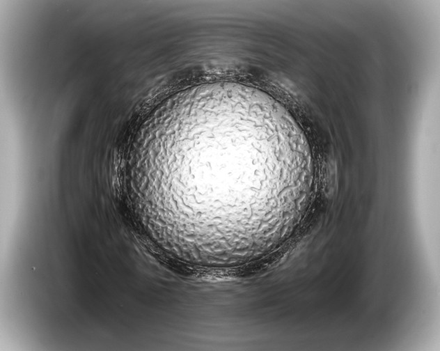 X0000085070770200703191301