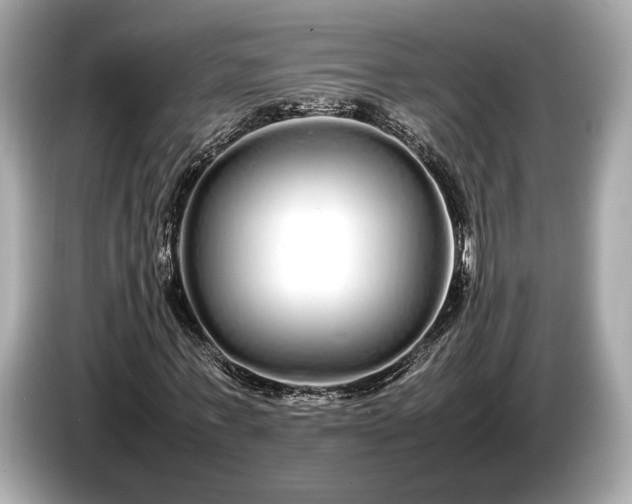 X0000085070771200703191301