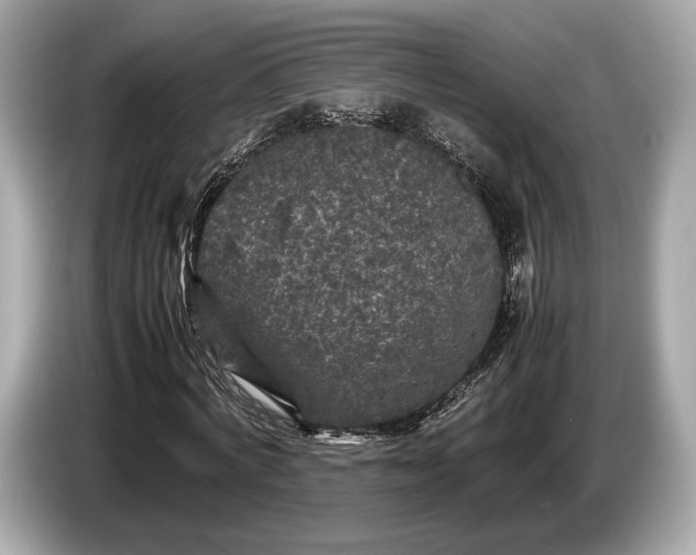 X0000085070772200703191301